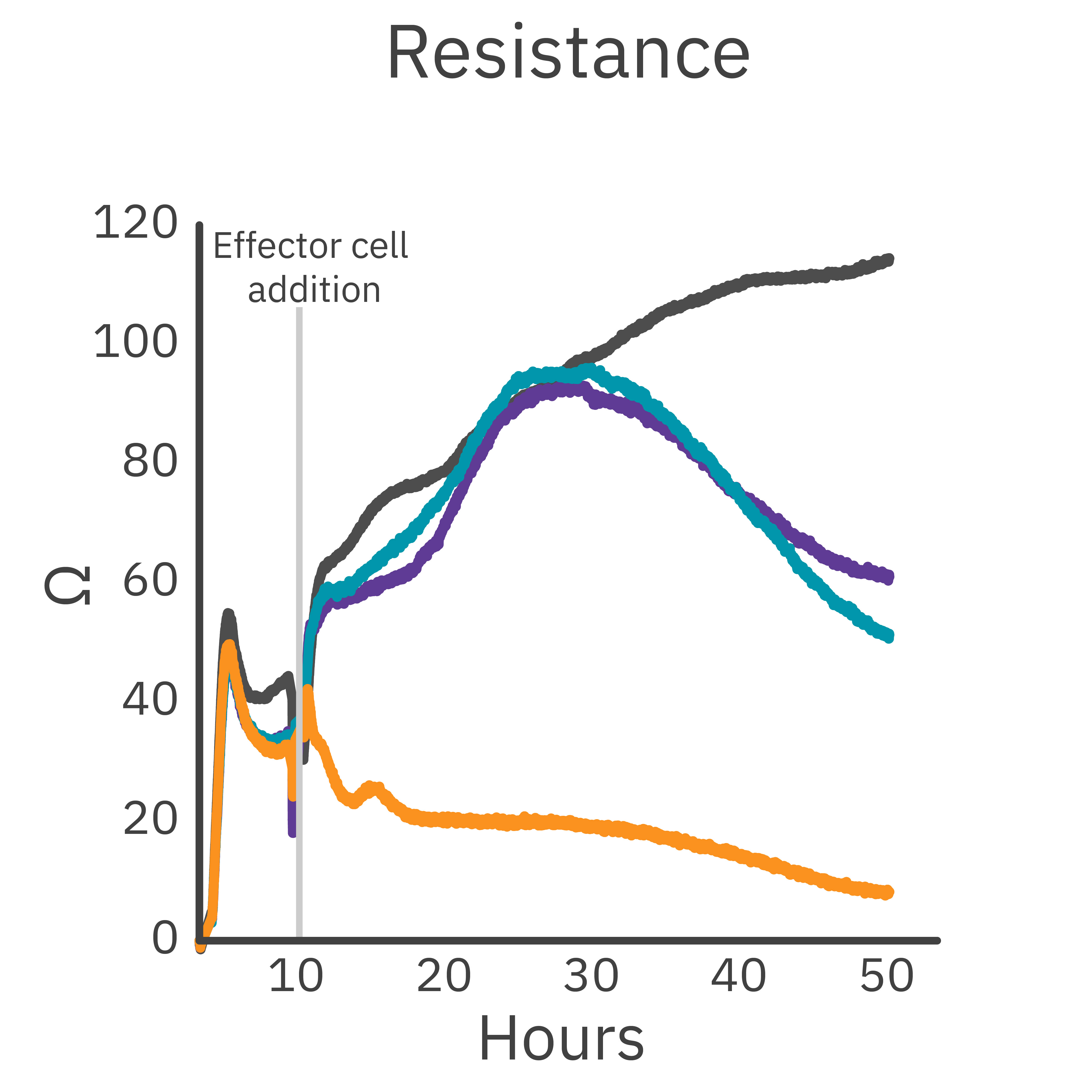 In vitro NK細胞キリング assay | Axion Biosystems